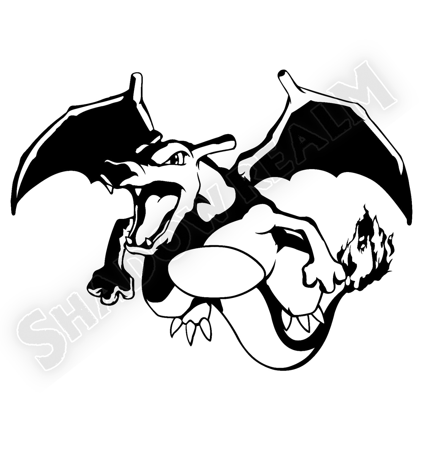 Flying Charizard